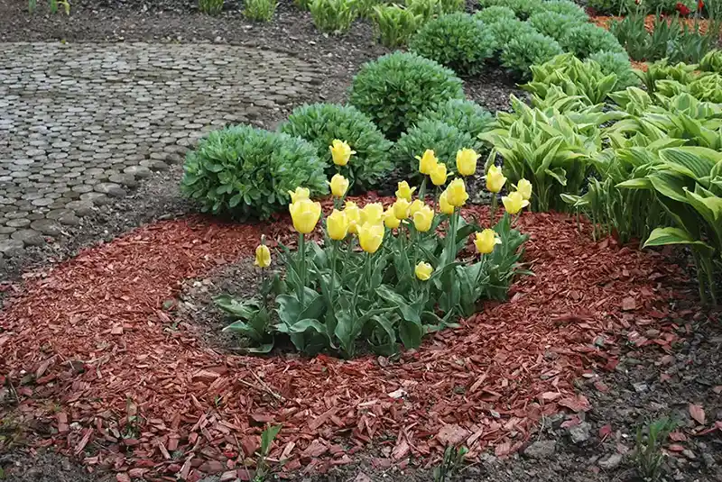 Flower Bed Edging