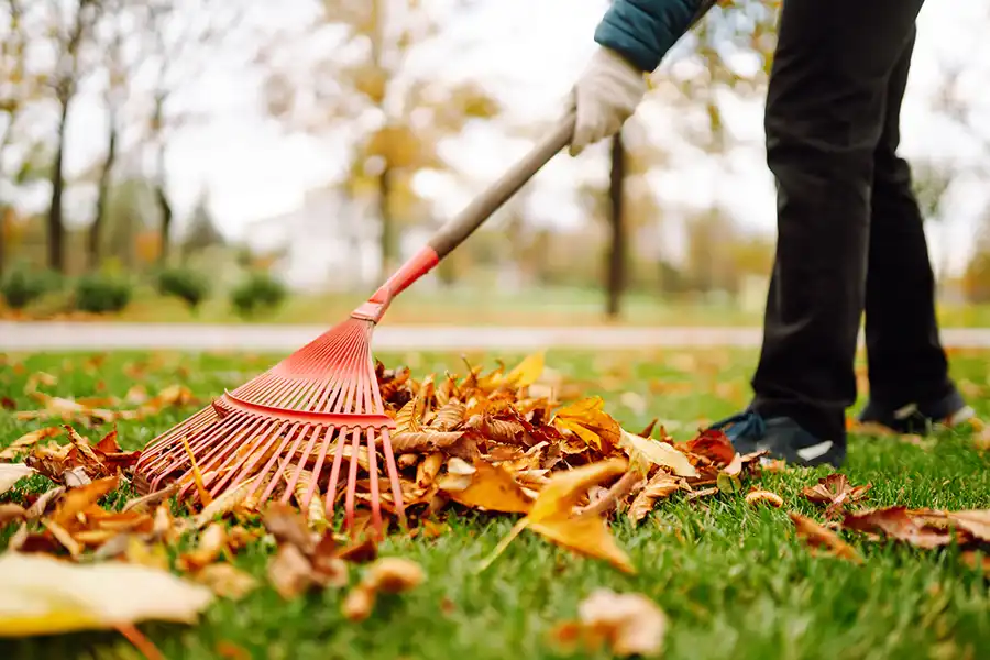 Gonzalez Lawn Service's other services